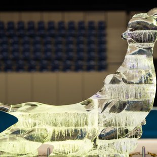 氷の彫刻展 in エムウェーブ7