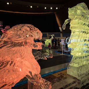 氷の彫刻展 in エムウェーブ8