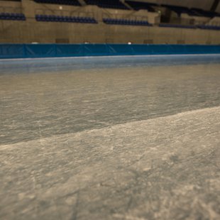 氷の彫刻展 in エムウェーブ9