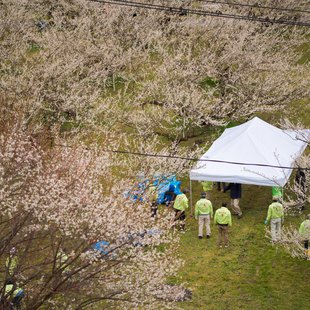 ろうかく湖，ろうかく梅園10
