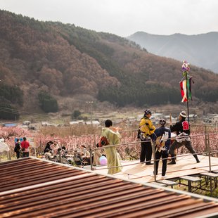 信州松代東条あんずまつり1
