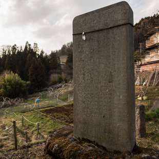 神代桜(素桜神社)2
