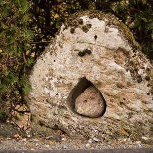 信州松代東条あんずまつり9