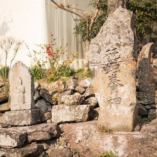 信州松代東条あんずまつり10