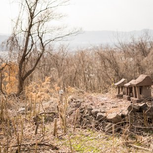信州松代東条あんずまつり11