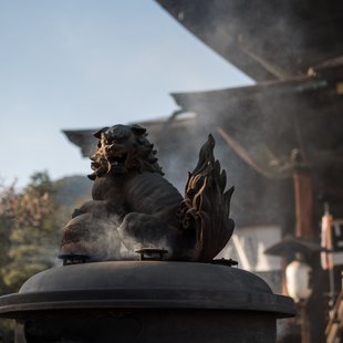 長野市街地の桜など18