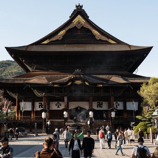 長野市街地の桜など19