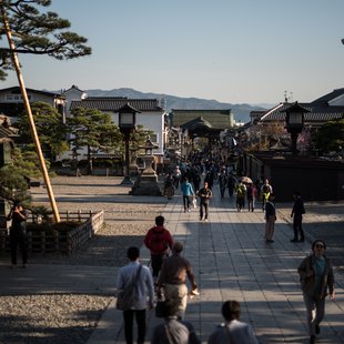 長野市街地の桜など20