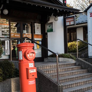 長野市街地の桜など21