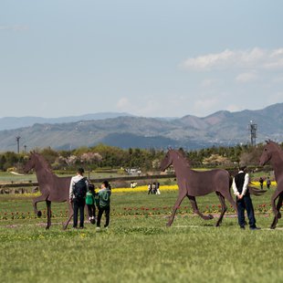 信州花フェスタ3