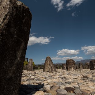 信州花フェスタ5