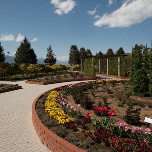 信州花フェスタ7