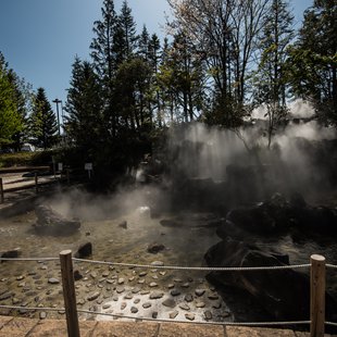 信州花フェスタ8