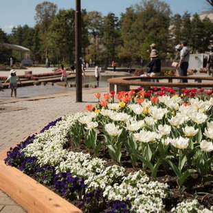 信州花フェスタ9