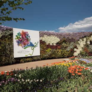 信州花フェスタ10