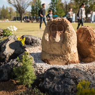 信州花フェスタ16