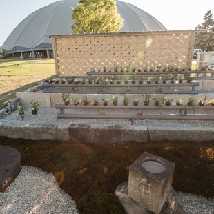 信州花フェスタ21