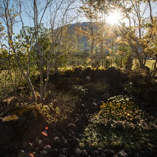 信州花フェスタ23