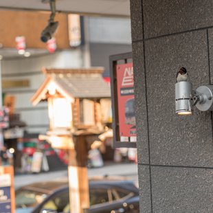 善光寺花回廊10