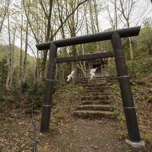 奥裾花自然園，奥裾花渓谷3