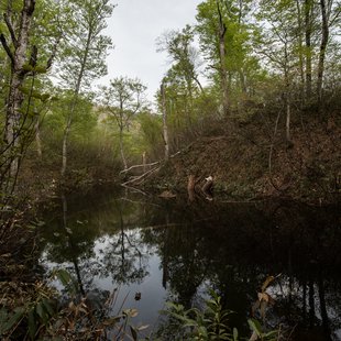 奥裾花自然園，奥裾花渓谷6