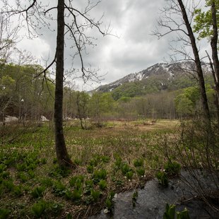 奥裾花自然園，奥裾花渓谷8