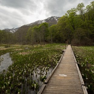 奥裾花自然園，奥裾花渓谷9