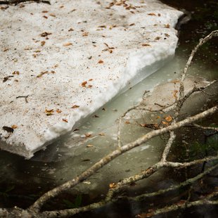 奥裾花自然園，奥裾花渓谷12