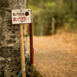 奥裾花自然園，奥裾花渓谷15