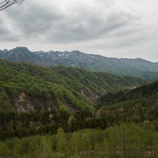 奥裾花自然園，奥裾花渓谷20