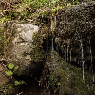 奥裾花自然園，奥裾花渓谷21