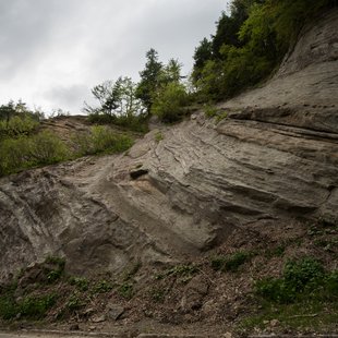奥裾花自然園，奥裾花渓谷25