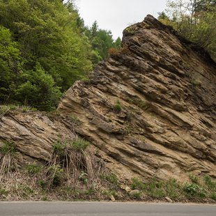 奥裾花自然園，奥裾花渓谷26