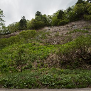 奥裾花自然園，奥裾花渓谷27