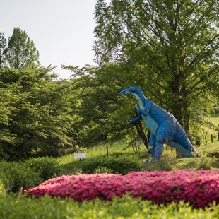 茶臼山恐竜公園1