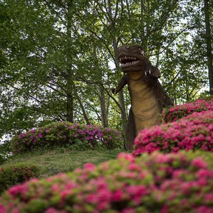 茶臼山恐竜公園3