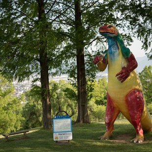 茶臼山恐竜公園4