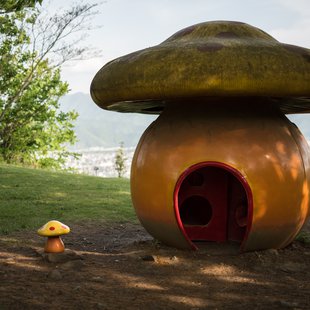 茶臼山恐竜公園6