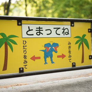 茶臼山恐竜公園11