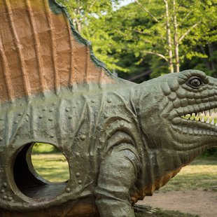 茶臼山恐竜公園12