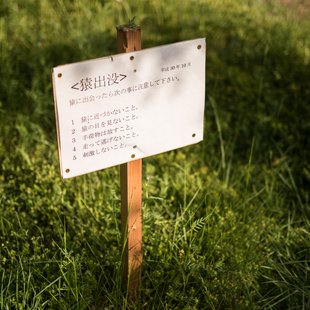 茶臼山恐竜公園14