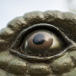 茶臼山恐竜公園21