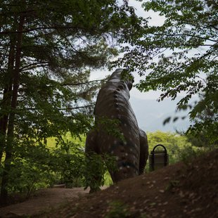 茶臼山恐竜公園22