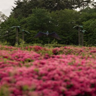 茶臼山恐竜公園25