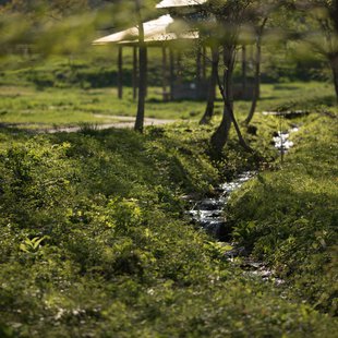 戸隠キャンプ場，戸隠牧場1