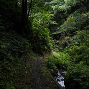 親不知・子不知1