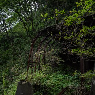 親不知・子不知2