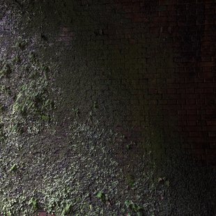 親不知・子不知9