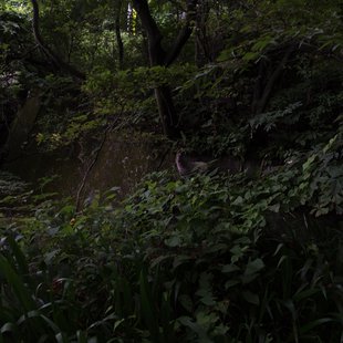 親不知・子不知10