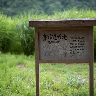 五箇山菅沼合掌造り集落2